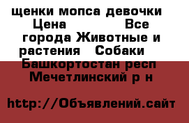 щенки мопса девочки › Цена ­ 25 000 - Все города Животные и растения » Собаки   . Башкортостан респ.,Мечетлинский р-н